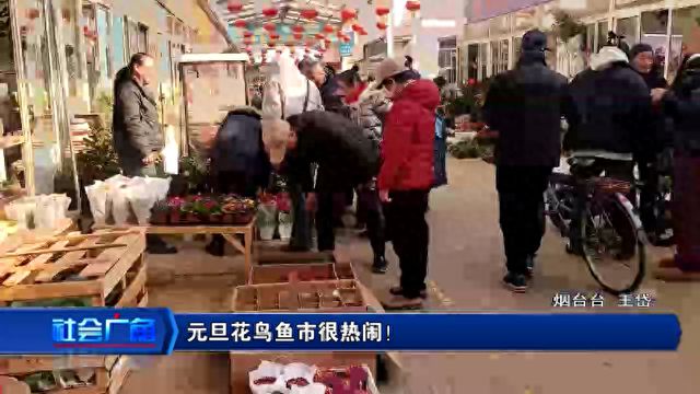过元旦！烟台花市好热闹！(图1)
