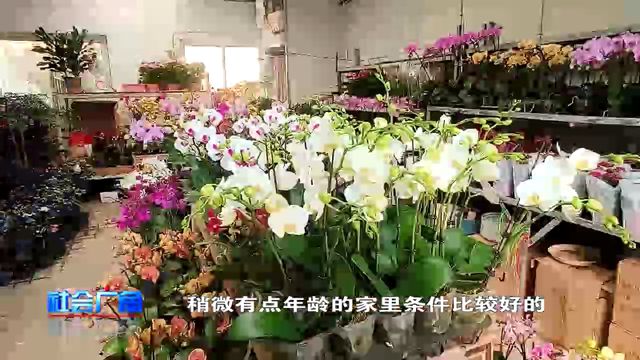 过元旦！烟台花市好热闹！(图2)