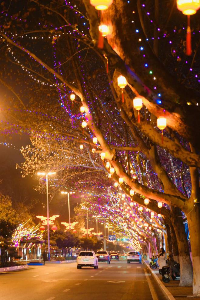 今年过年濮阳这些地方彩灯有看头！(图3)