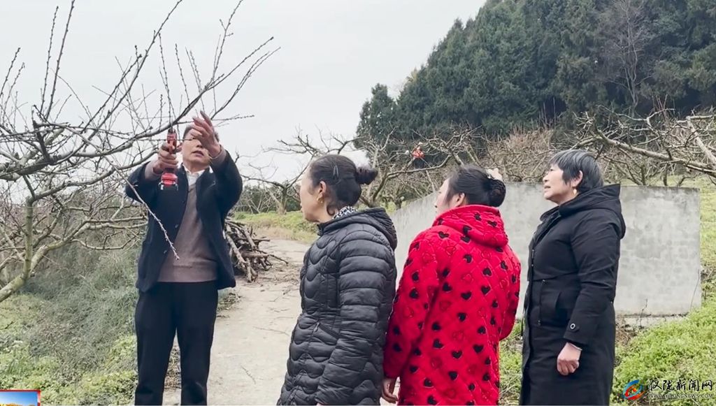 人勤春来早 果树春管忙(图2)