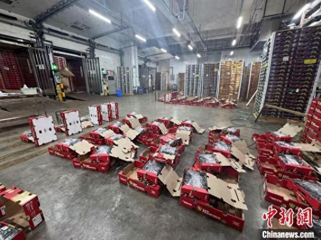 超万吨新鲜智利车厘子靠泊广州港南沙码头(图1)