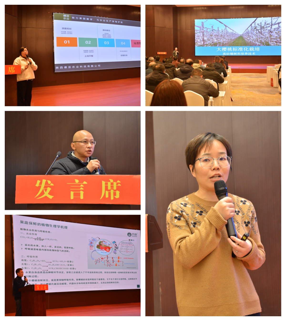 2025年大樱桃（车厘子）标准化高效栽培技术研讨会在陕西永寿成功举办(图3)