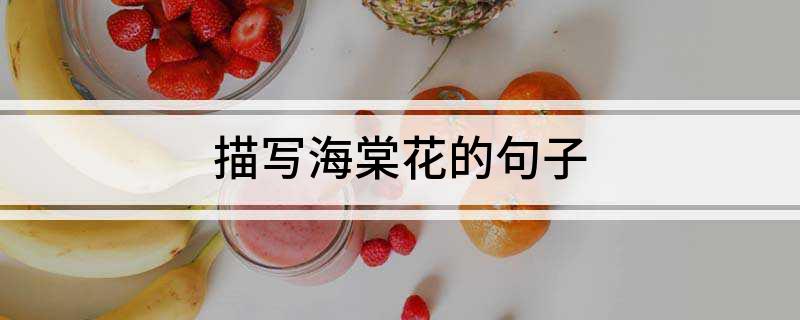 描写海棠花的句子(图1)