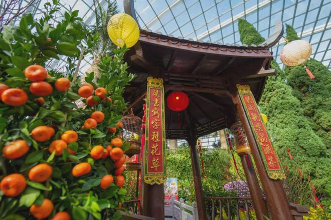 “春花盛开之白蛇传”花卉展在新加坡滨海湾花园揭幕(图7)