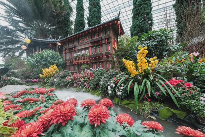 “春花盛开之白蛇传”花卉展在新加坡滨海湾花园揭幕(图4)
