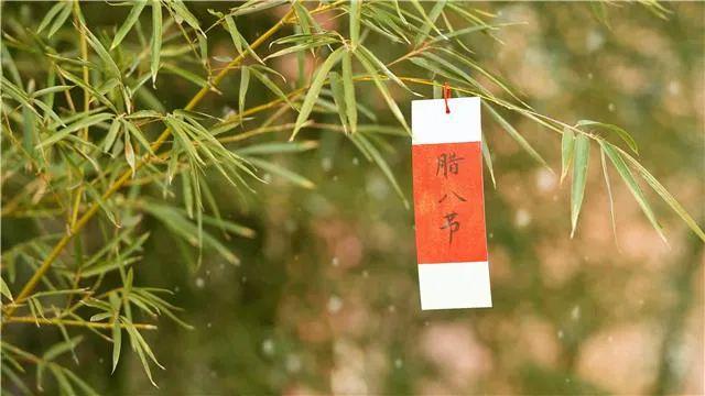 今天的仪式感从这碗粥开始…(图10)