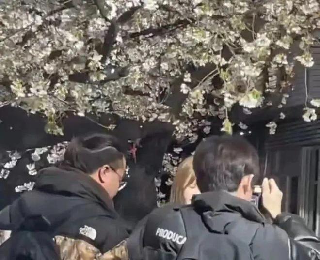 前体操冠军吴柳芳事件后续：账号被禁止关注其公司曾破坏百年树(图19)
